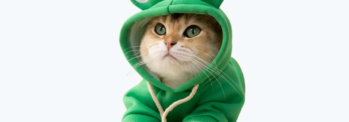 déguisements pour chats